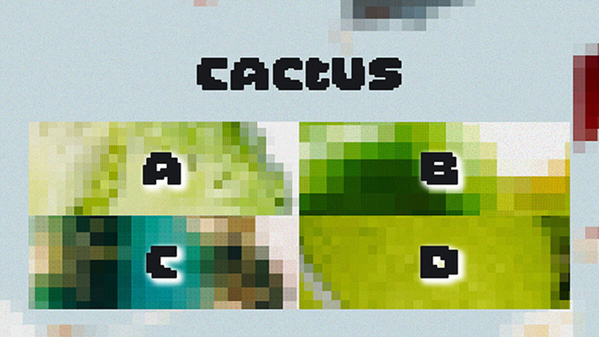 Pixel Pic image number null